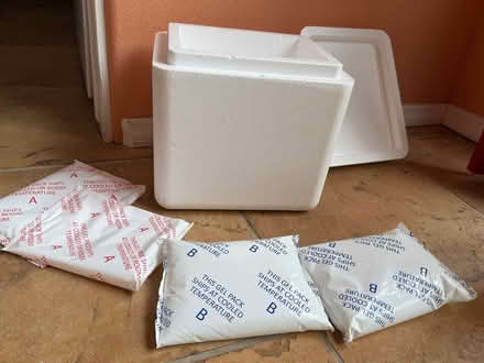 Photo of free 1-5 Styrofoam coolers (South side SF) #1
