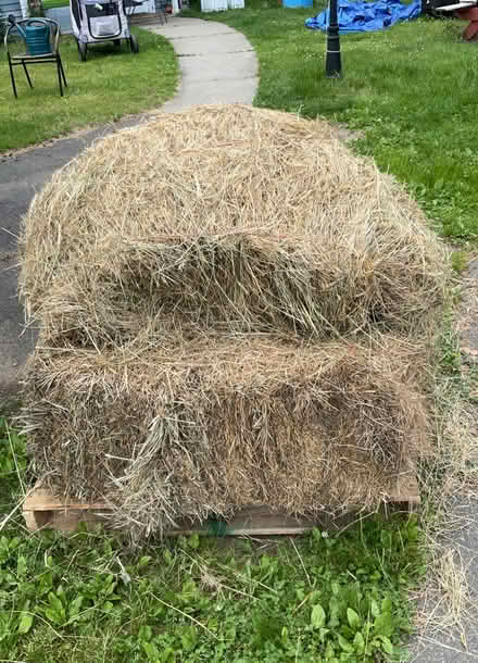 Photo of free Hay bales (Easthampton ma) #2