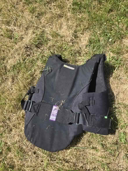 Photo of free Body protector (Ringmer) #2