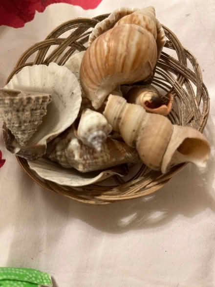 Photo of free Selection of shells, bag, jewellery, bath bombs …. (Shephall SG2) #4