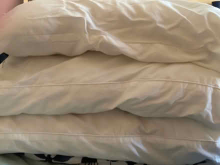 Photo of free 3 pillows (Bromley North BR1) #1