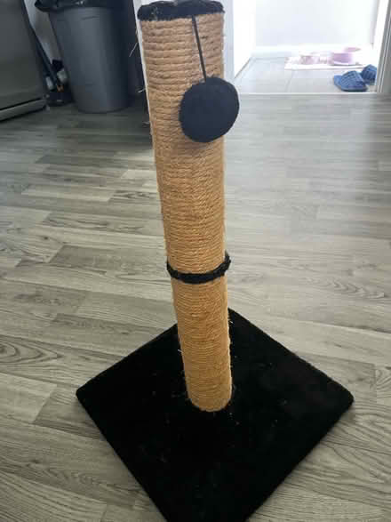 Photo of free Cat scratching post (Hailsham BN27) #2