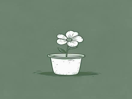 Photo of Spare flower pots (Totterdown BS3) #1