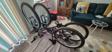Photo of free Apollo Jewel Womens Mountain Bike - Purple - 14" (Sheddingdean RH15) #1