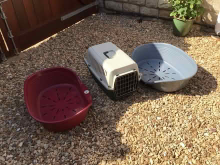 Photo of free Pet beds and carrier (PE5) #1