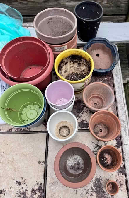 Photo of free Gardening Supplies (Bethesda) #2