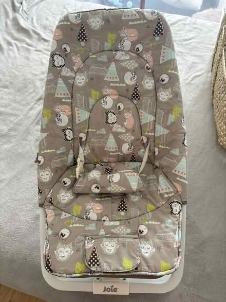 Photo of free Baby rocker (Anerley) #1