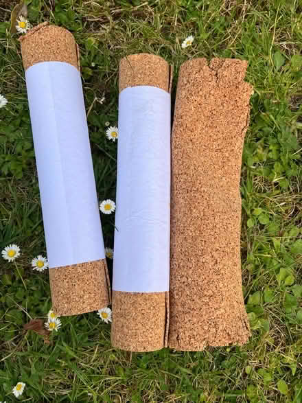 Photo of free Core Pin Board parts (Summertown OX2) #1