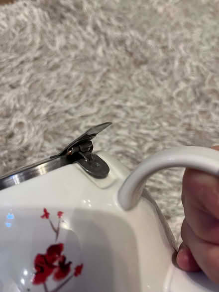 Photo of free Ceramic teapot with strainer blossom on white (Hale End IG8) #3