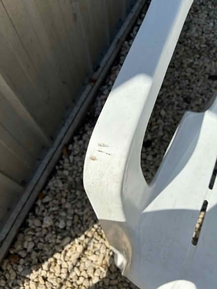 Photo of free Plastic chairs (Portchester) #2