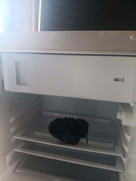 Photo of free Fridge for built in kitchen unit (Lingen SY7) #2