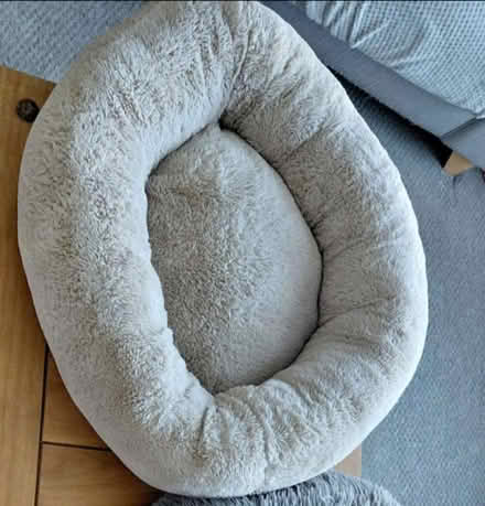 Photo of free Cat/small dog bed (Derby) #1