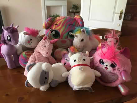 Photo of free Cute and cuddly (Euxton PR7) #1