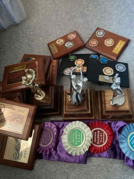 Photo of free Dance Trophies (Chineham RG24) #1
