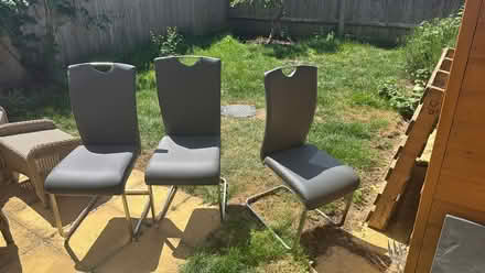Photo of free Dining chairs (Cassington OX29) #1