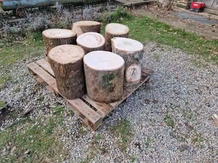 Photo of Logs for seating (Hangleton BN3) #2