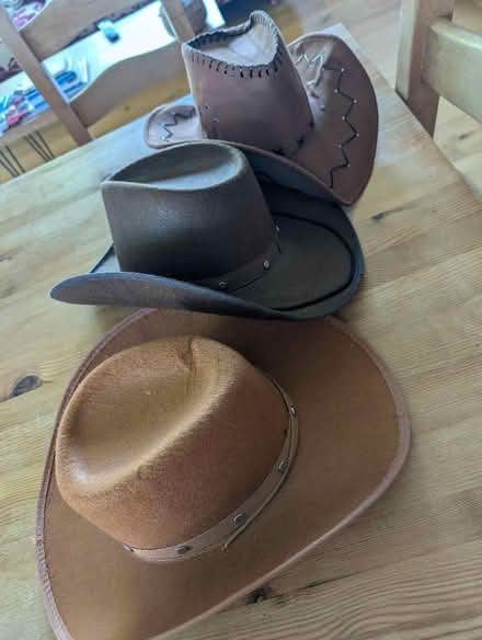Photo of free 3 cowboy/girl hats (Craiglockhart EH14) #1