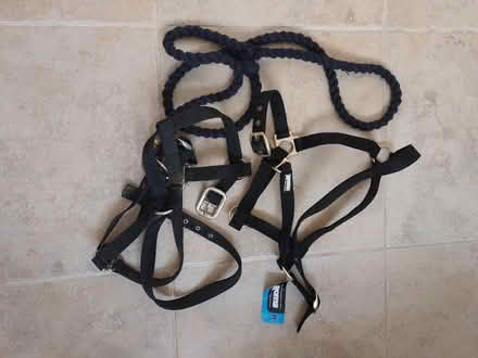 Photo of free Two horse headcollars (Giffard Park MK14) #1