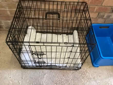 Photo of free Various cat items (Horsey Hill NE34) #3