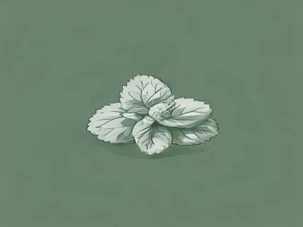 Photo of free mint (Tinshill LS16) #1