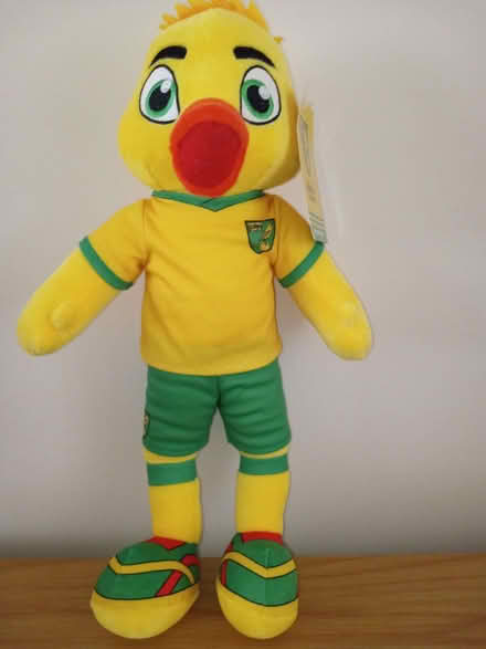Photo of free New Norwich City Football Mascot (Elvaston Meadows DE72) #1