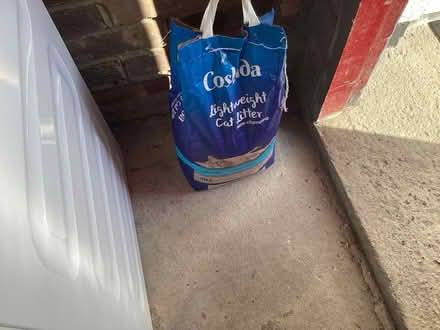 Photo of free Various cat items (Horsey Hill NE34) #4