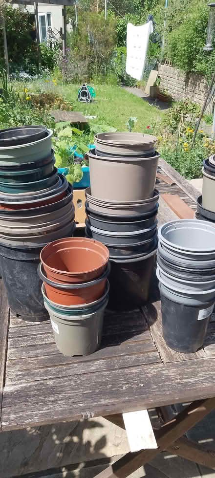 Photo of free Plastic plant pots (Frome BA11) #1