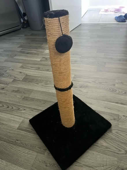 Photo of free Cat scratching post (Hailsham BN27) #1