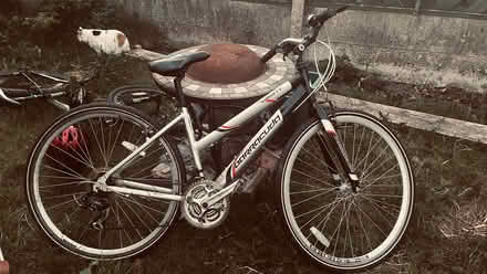 Photo of free Ladies ‘barracuda’ mountain bike (Bowerham LA1) #1