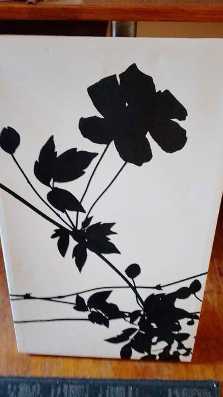Photo of free Black and white canvas (Sl43js) #1