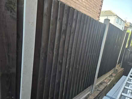 Photo of free Wooden fence panels (Bexleyheath DA6) #3