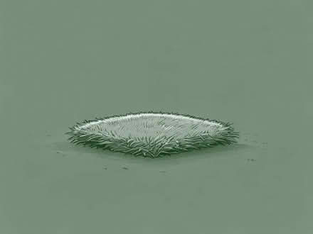 Photo of Artificial grass offcut (Nest Farm area NN8) #1