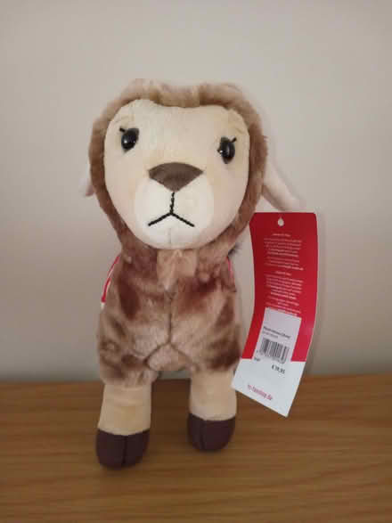 Photo of free New 1. FC Köln Football Mascot (Elvaston Meadows DE72) #2