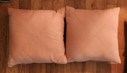 Photo of free Pair of throw pillows (West Springfield) #1
