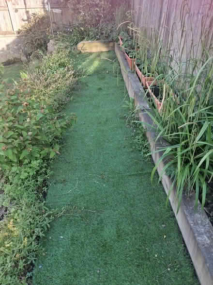 Photo of free Artificial Turf (River CT17) #1