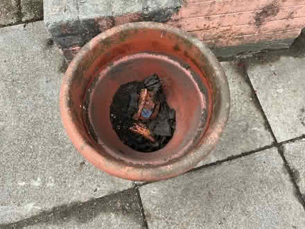 Photo of free Plant pot (Liverpool 13 /Stoneycroft) #2