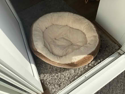 Photo of free Various cat items (Horsey Hill NE34) #2