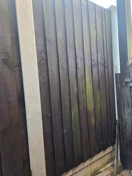 Photo of free Wooden fence panels (Bexleyheath DA6) #2