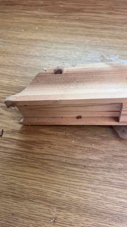 Photo of free 1.5m off-cut of wooden hand rail (Arnold, NG5) #2