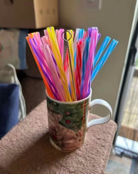 Photo of free Drinking Straws (Jennetts park RG12) #1