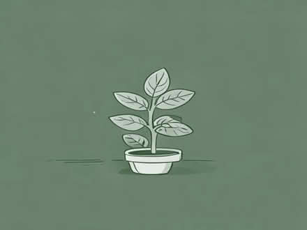 Photo of Any spare seedlings 🌱 (Fishpool BL9) #1