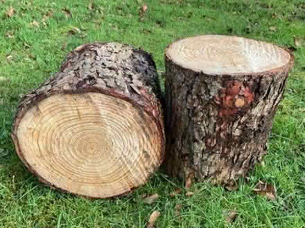 Photo of Logs for seating (Hangleton BN3) #1