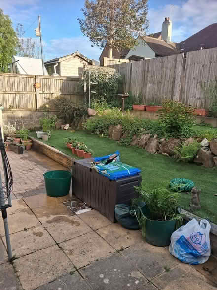 Photo of free Artificial turf (Dover) #1