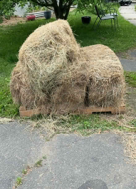 Photo of free Hay bales (Easthampton ma) #3