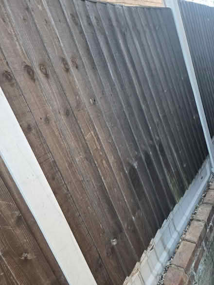 Photo of free Wooden fence panels (Bexleyheath DA6) #4