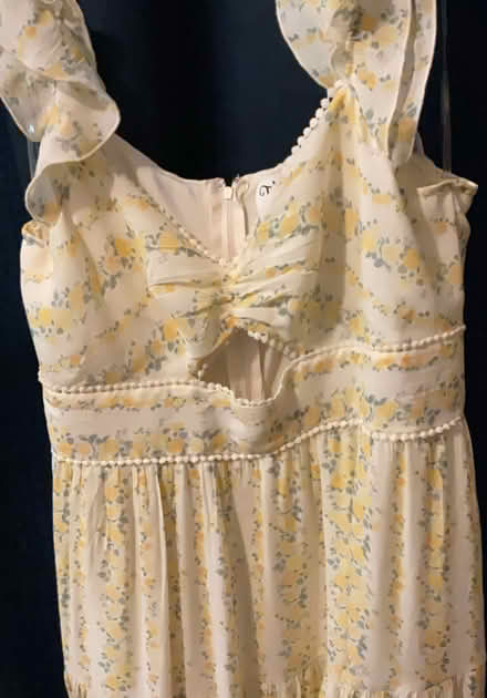 Photo of free Trixxi dress giveway (Easthampton ma) #1