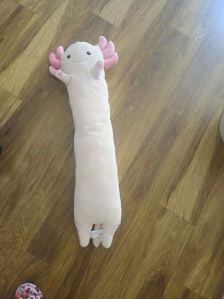 Photo of free Long pink soft toy (North Hertfordshire) #1