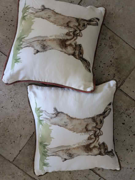 Photo of free Two cushions (Painswick GL6) #1