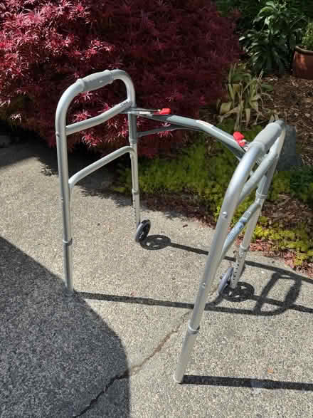 Photo of free Walker (N Queen Anne) #1