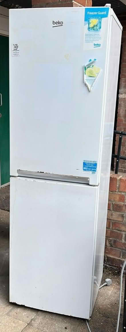Photo of free Beko Fridge Freezer (Newham E12) #1